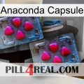 Anaconda Capsule 14